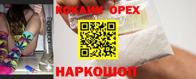 сатива Можга