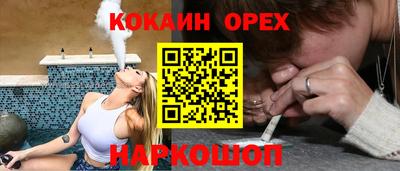 сатива Можга