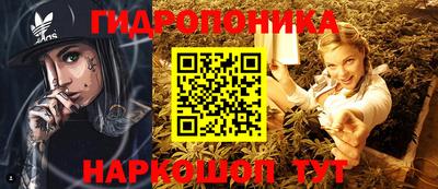 сатива Можга
