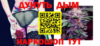 сатива Можга